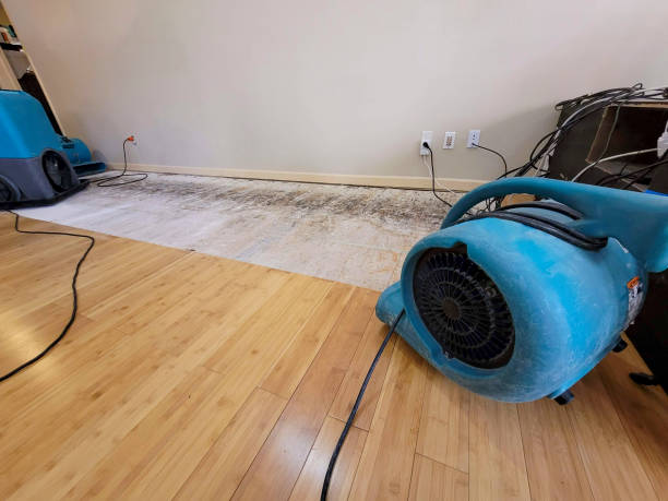 Professional Water Damage Repair technician working in York Beach, ME